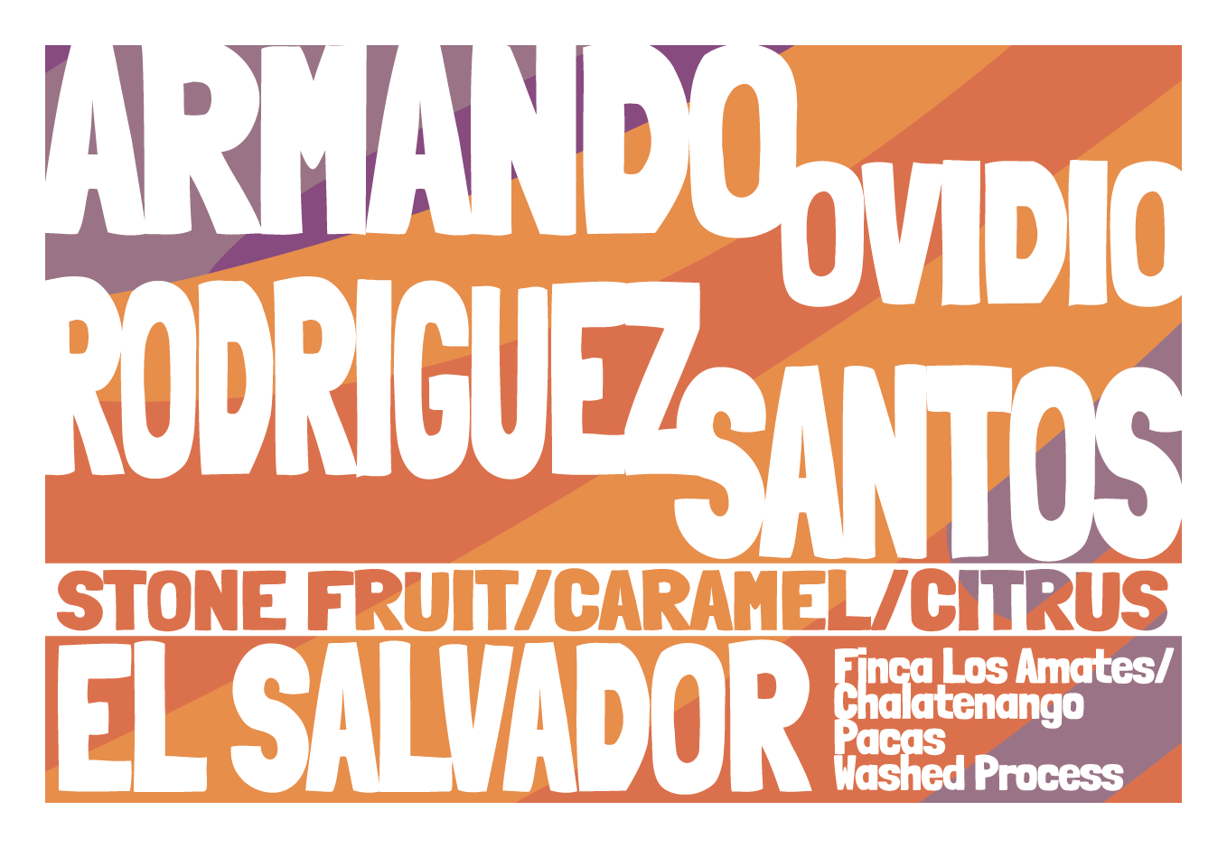 El Salvador - Armando Ovidio Rodriguez AA - Washed