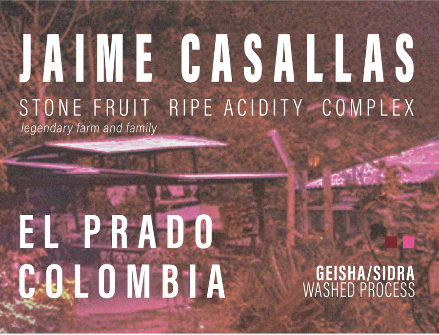 Colombia - Jaime Casallas - Geisha/Sidra - Washed Process