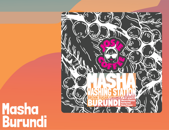 Burundi - Masha - Honey Process