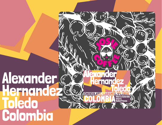 Colombia - Alexander Hernandez Toledo - Caturra - Washed Process