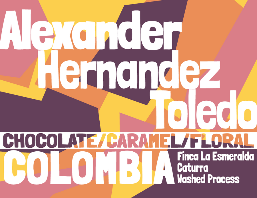 Colombia - Alexander Hernandez Toledo - Caturra - Washed Process