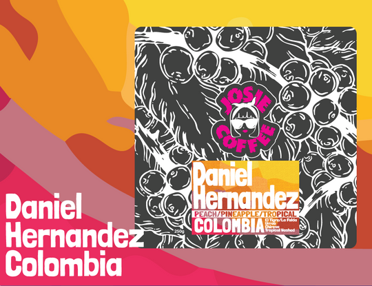 Colombia - Daniel Hernandez - Tropical Chiroso - Washed
