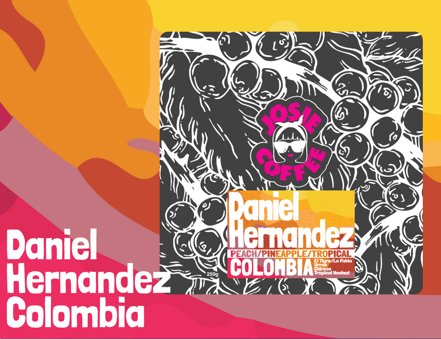 Colombia - Daniel Hernandez - Tropical Chiroso - Washed