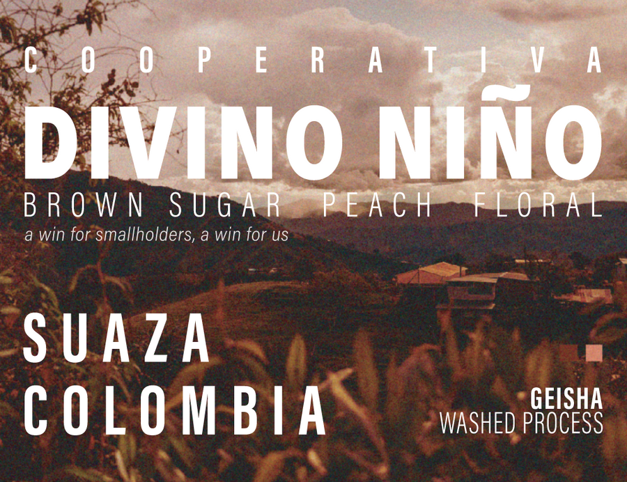 Colombia - Divino Niño - Geisha - Washed Process