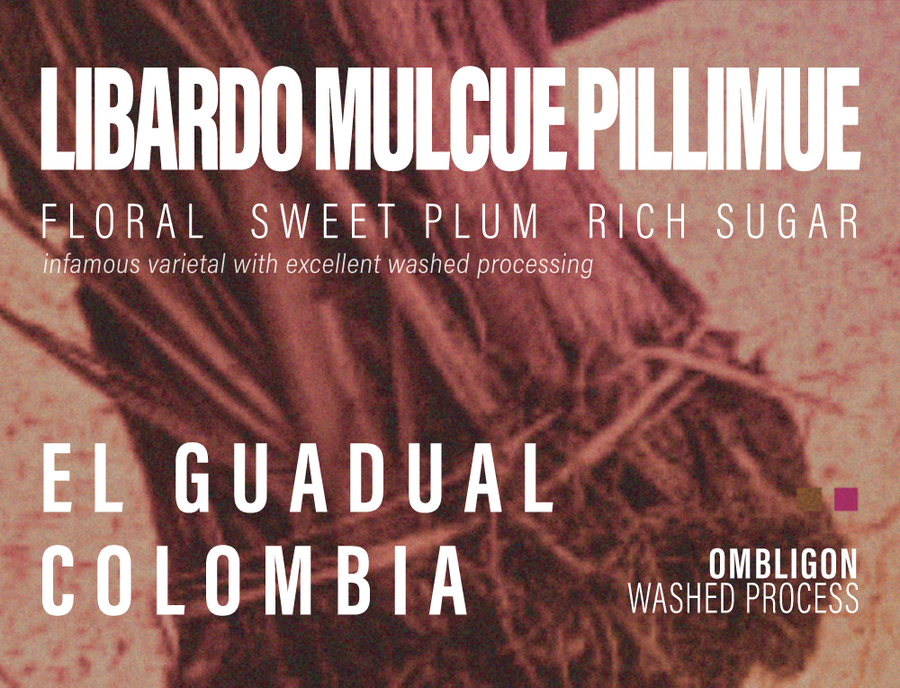 Colombia - Libardo Mulcue Pillimue - El Gaudual - Ombligon - Washed Process