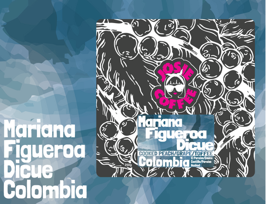 Colombia - Mariana Figuero Dicue - Castillo - Washed