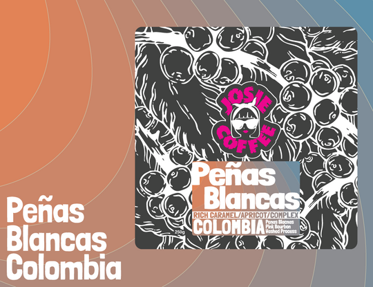 Colombia - Peñas Blancas - Pink Bourbon - Washed Process