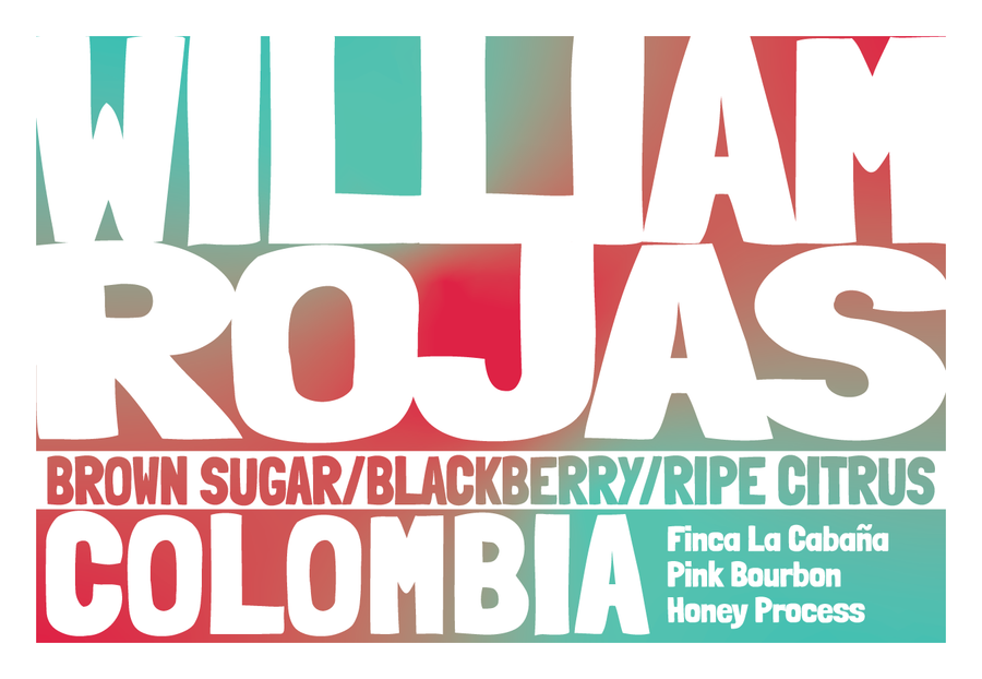 Colombia - William Rojas - Pink Bourbon - Honey Process
