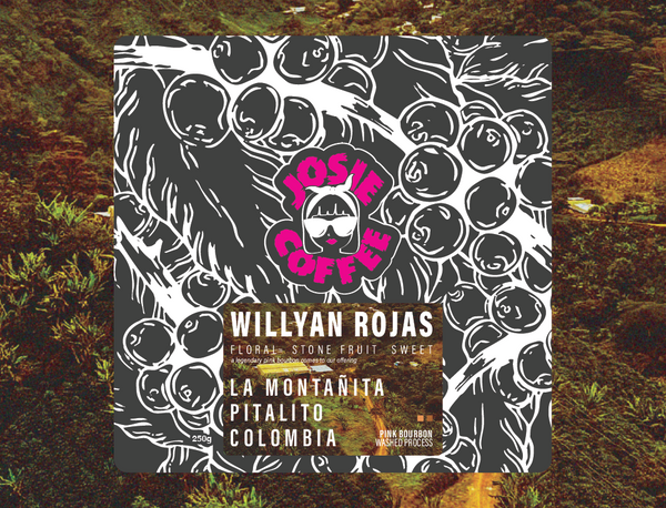 Colombia - Willyan Rojas - Pink Bourbon - Washed Process