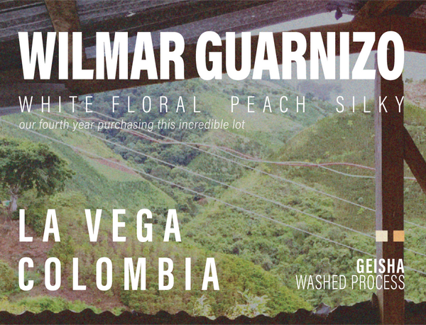 Colombia - Wilmar Guarnizo - La Vega - Geisha - Washed Process
