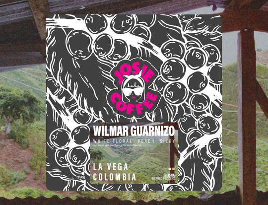 Colombia - Wilmar Guarnizo - La Vega - Geisha - Washed Process