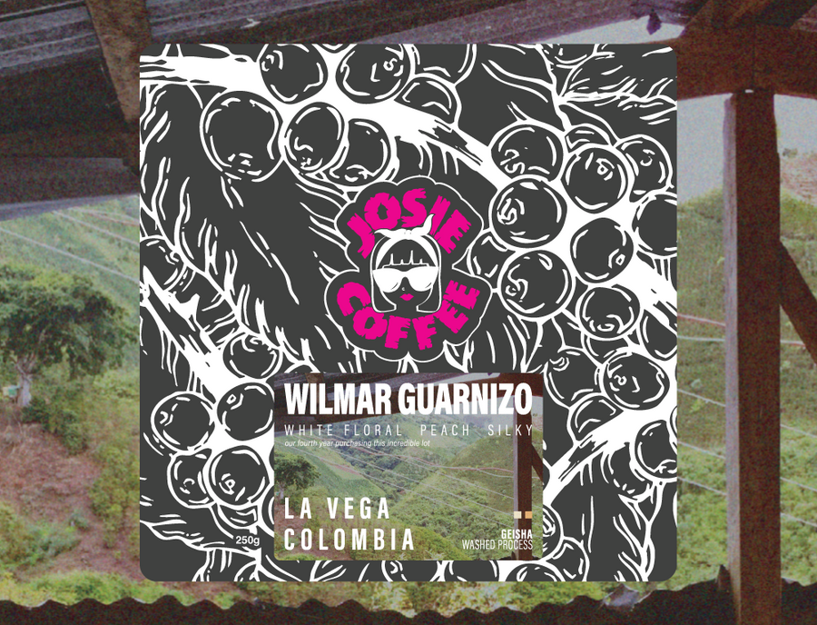 Colombia - Wilmar Guarnizo - La Vega - Geisha - Washed Process