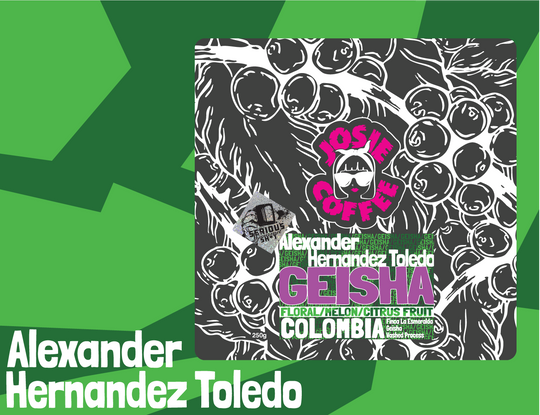 Colombia - Alexander Hernandez Toledo - Geisha - Washed Process