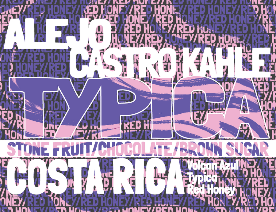 Costa Rica - Volcan Azul - Typica - Red Honey