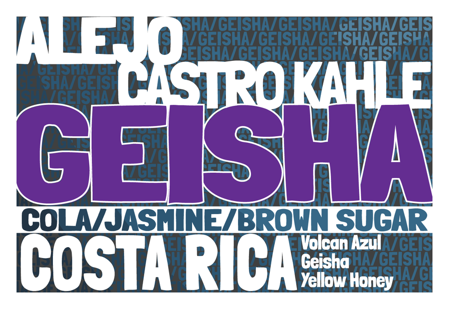Geisha - Costa Rica - Volcan Azul - Yellow Honey Process