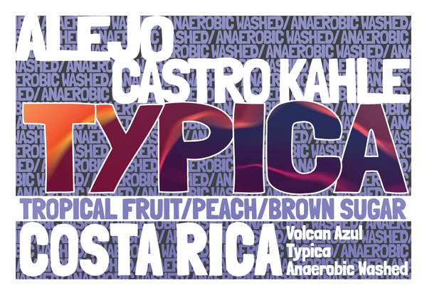 Costa Rica - Volcan Azul - Typica - Anaerobic Washed