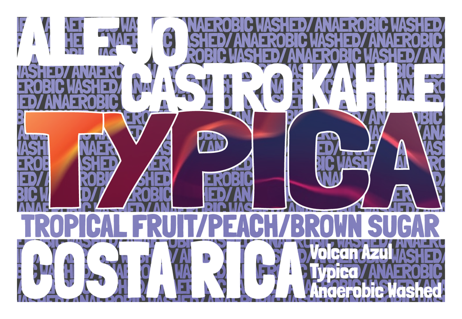 Costa Rica - Volcan Azul - Typica - Anaerobic Washed