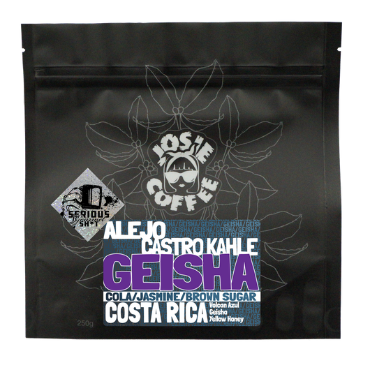 Geisha - Costa Rica - Volcan Azul - Yellow Honey Process