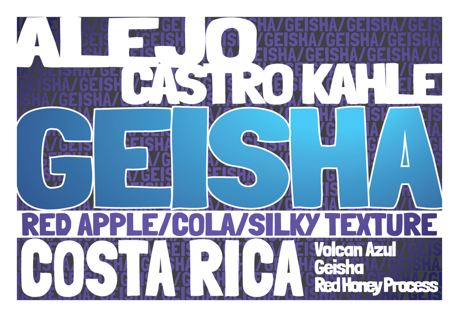 Geisha - Costa Rica - Volcan Azul - Red Honey Process