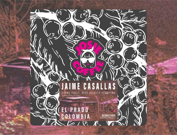 Colombia - Jaime Casallas - Geisha/Sidra - Washed Process