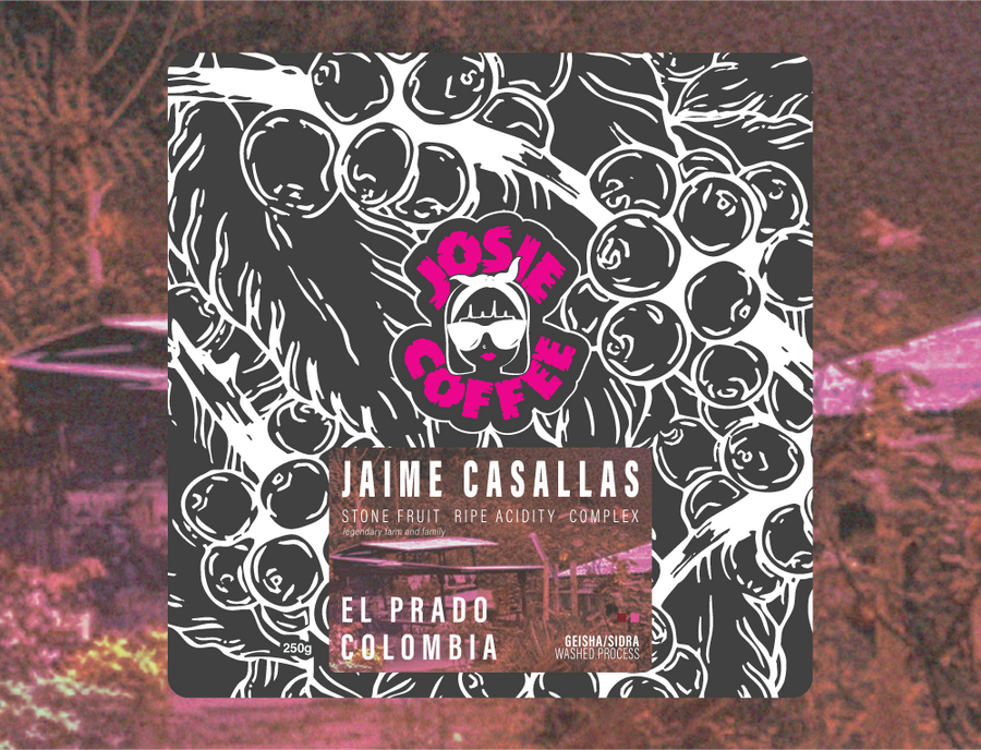 Colombia - Jaime Casallas - Geisha/Sidra - Washed Process