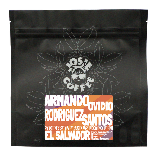 El Salvador - Armando Ovidio Rodriguez AA - Washed
