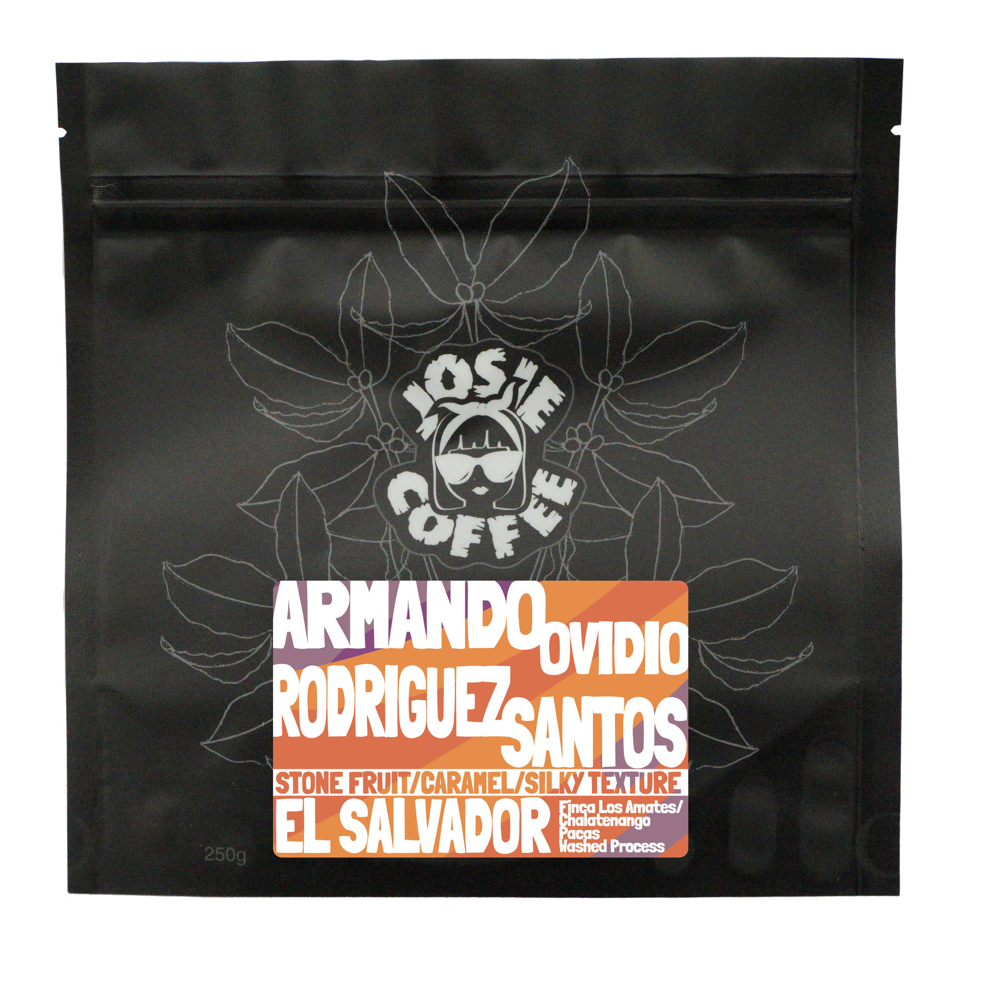 El Salvador - Armando Ovidio Rodriguez AA - Washed