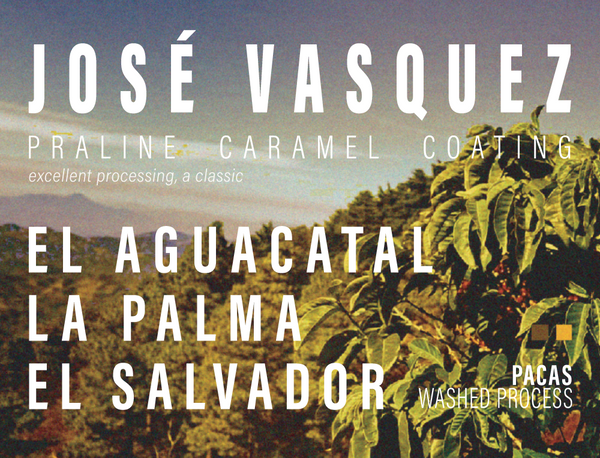 El Salvador - José Vasquez - El Aguacatal - Pacas - Washed Process