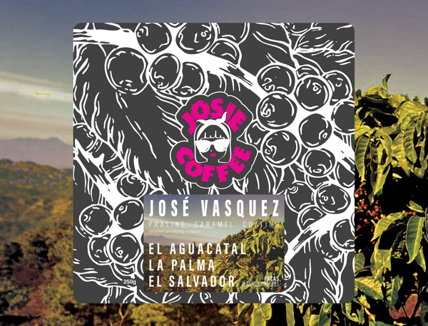 El Salvador - José Vasquez - El Aguacatal - Pacas - Washed Process