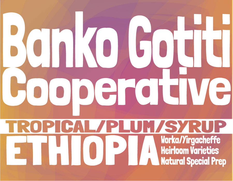 Ethiopia - Banko Gotiti - Natural Special Prep