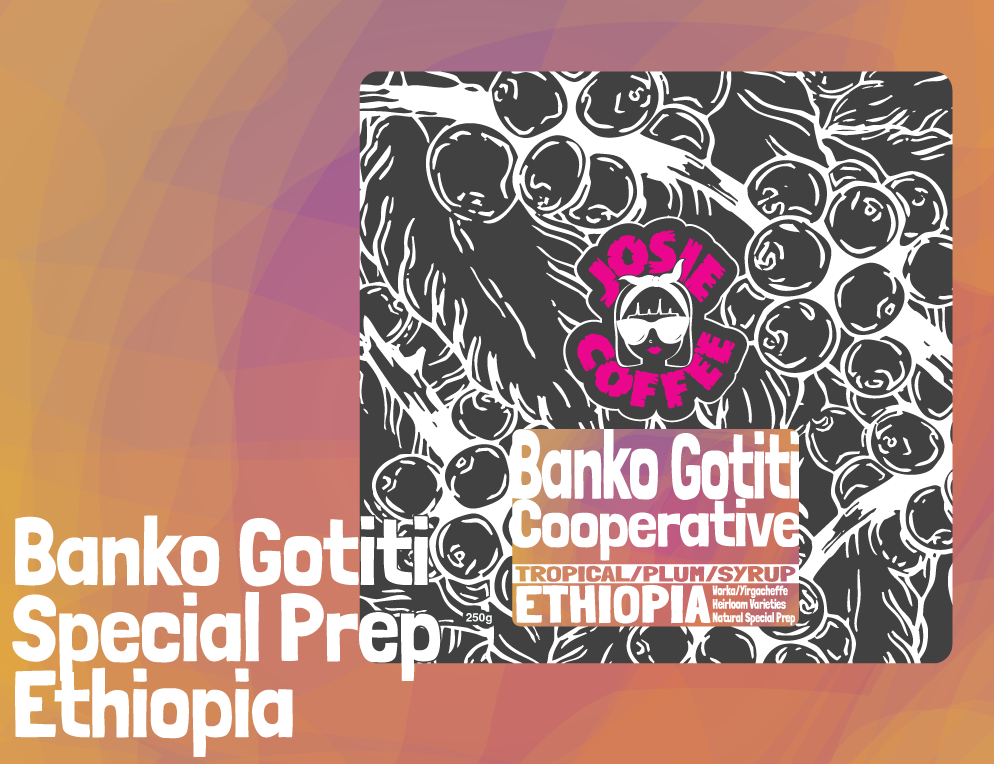 Ethiopia - Banko Gotiti - Natural Special Prep