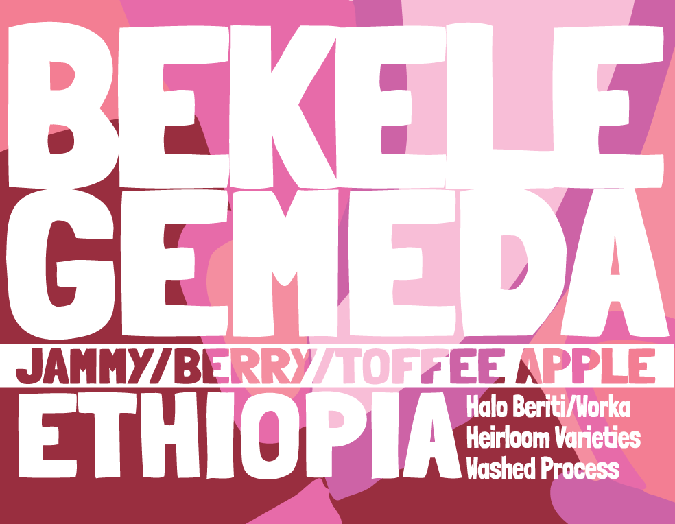 Ethiopia - Bekele Gemeda - Halo Beriti - Washed