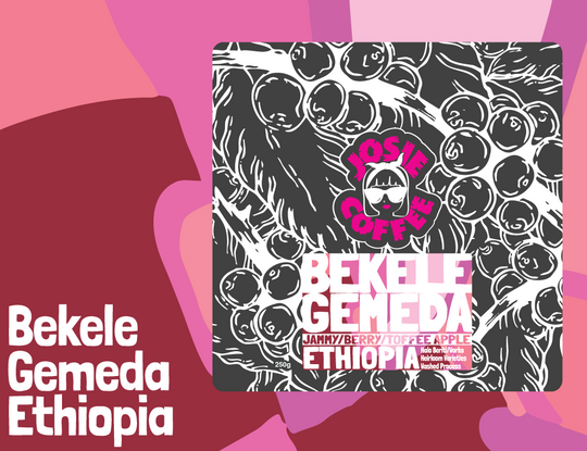 Ethiopia - Bekele Gemeda - Halo Beriti - Washed