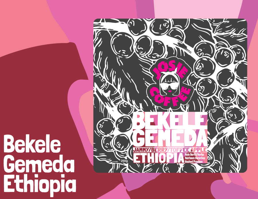 Ethiopia - Bekele Gemeda - Halo Beriti - Washed