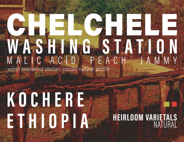 Ethiopia - Chelchele Washing Station - Natural Process