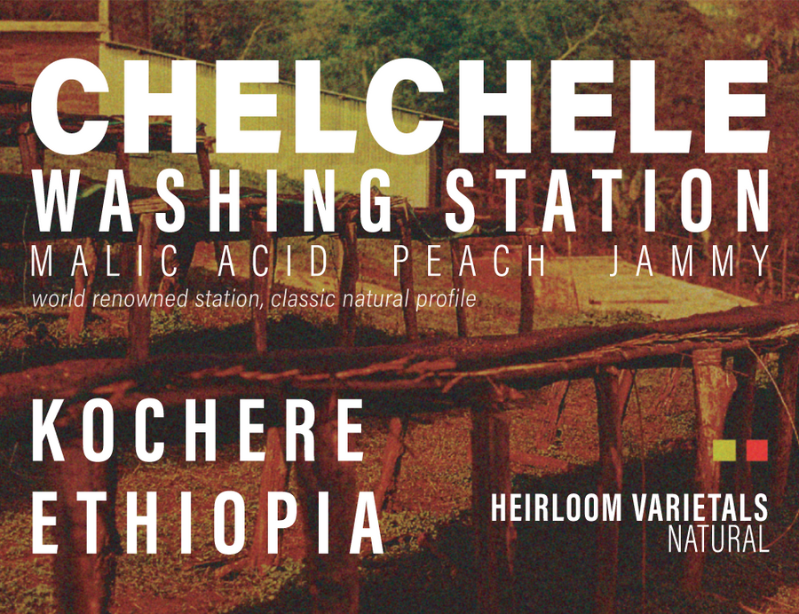 Ethiopia - Chelchele Washing Station - Natural Process