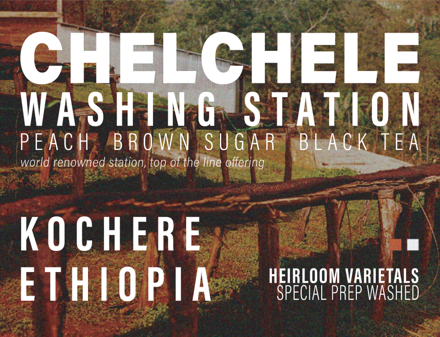 Ethiopia - Chelchele Washing Station - Special Prep Washed Process