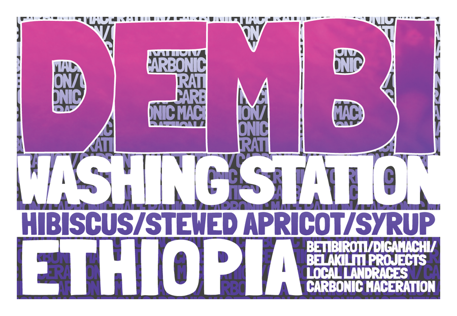 Exotic - Ethiopia - Sidamo - Dembi - Carbonic Maceration Dry