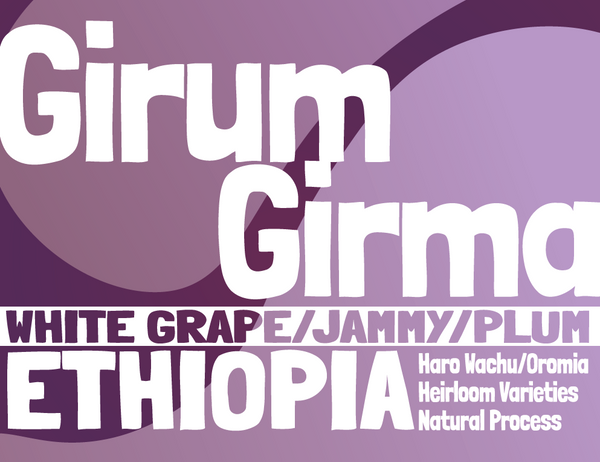 Ethiopia - Girum Girma - Natural Process