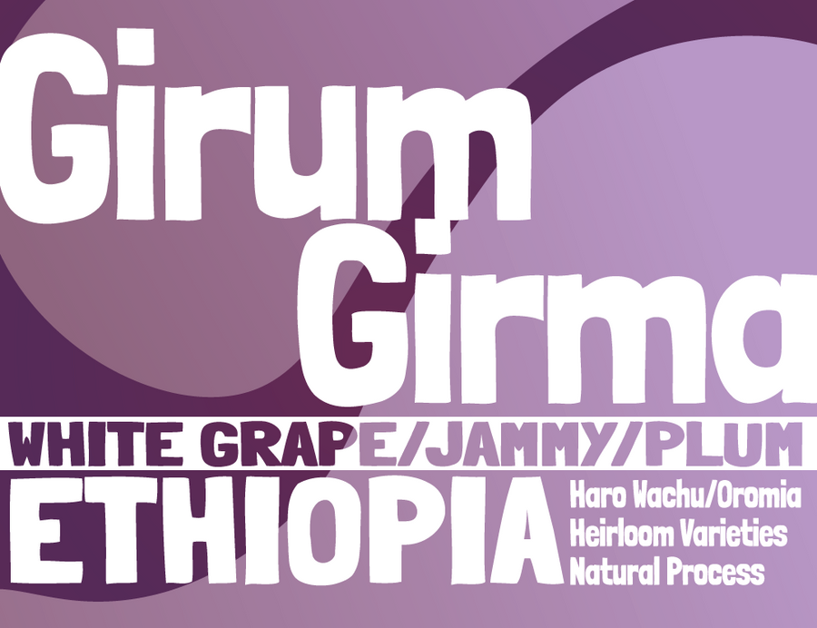 Ethiopia - Girum Girma - Natural Process