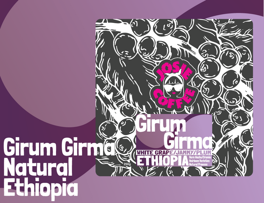 Ethiopia - Girum Girma - Natural Process