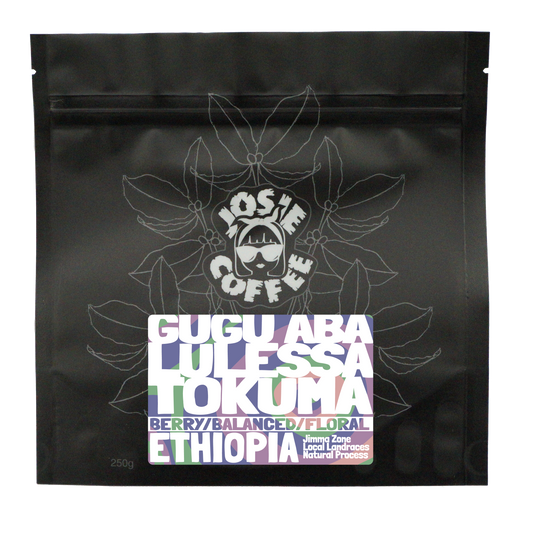 Ethiopia - Gugu Aba Lulessa Tokuma - Natural