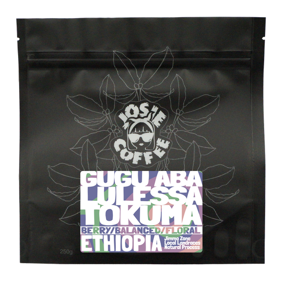 Ethiopia - Gugu Aba Lulessa Tokuma - Natural