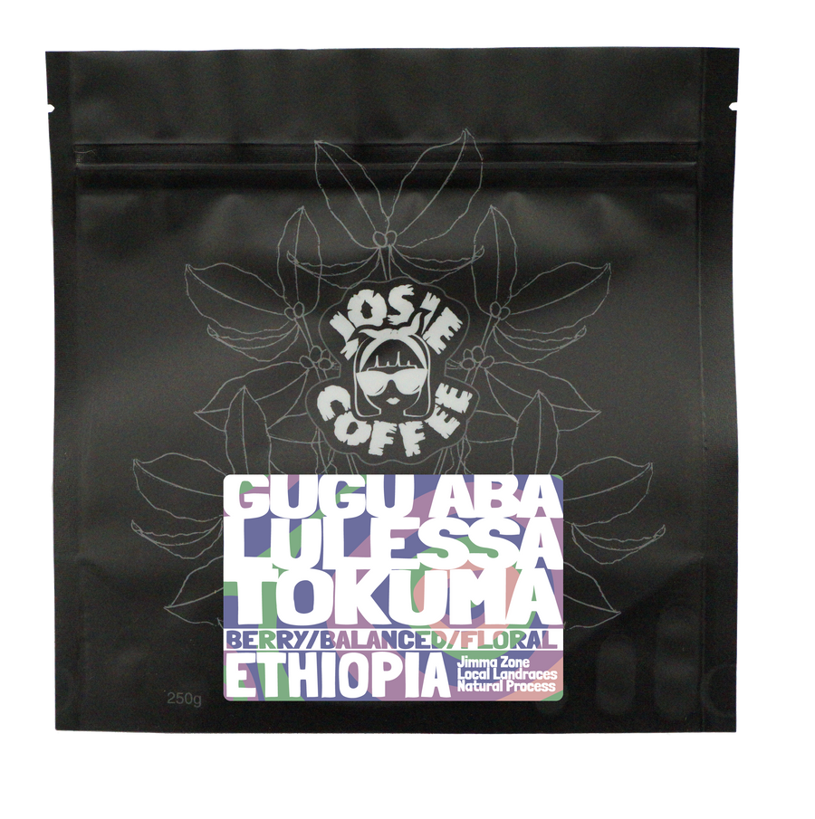 Ethiopia - Gugu Aba Lulessa Tokuma - Natural