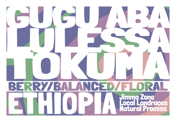 Ethiopia - Gugu Aba Lulessa Tokuma - Natural