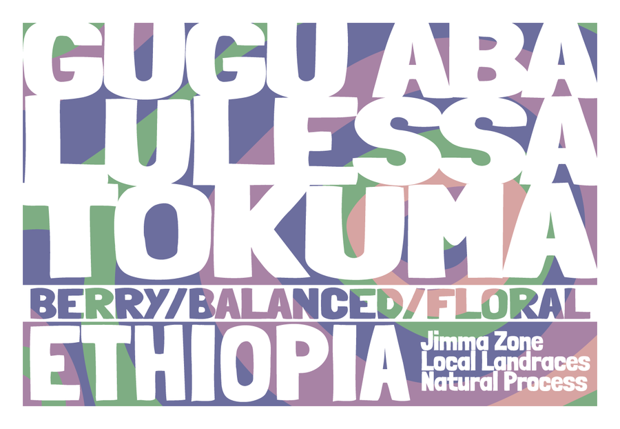 Ethiopia - Gugu Aba Lulessa Tokuma - Natural