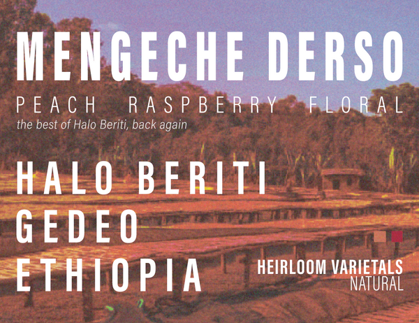 Ethiopia - Mengeche Derso - Halo Beriti - Single Producer - Natural