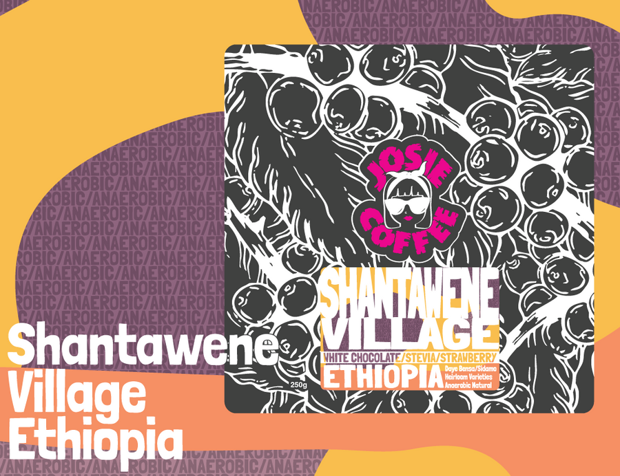 Ethiopia - Shantawene - Anaerobic Natural Process
