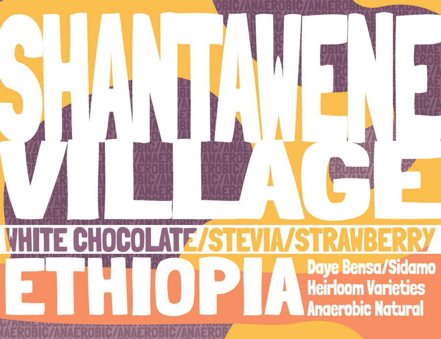Ethiopia - Shantawene - Anaerobic Natural Process