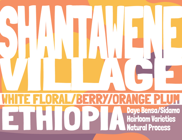 Ethiopia - Shantawene - Natural Process